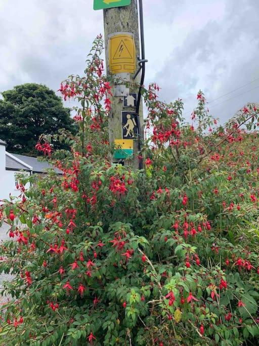 Castlegregory-Seaside 2 Bedroomed Cottage Bagian luar foto